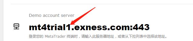 在Exness注册的模拟账户登录后显示账户无效是怎么回事？