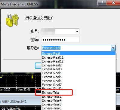 在Exness注册的模拟账户登录后显示账户无效是怎么回事？