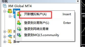 xm外汇中模拟账户注册流程