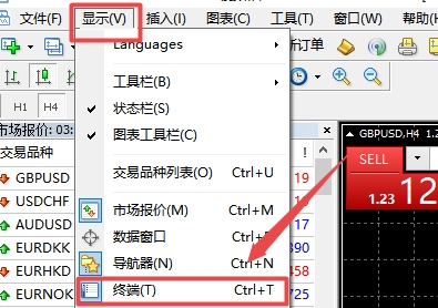 xm外汇的MT4上交易记录在哪查看?
