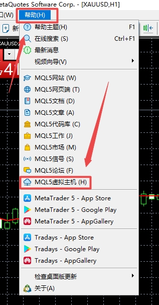 XM MT5上怎么样租到虚拟主机?